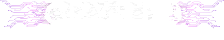 bottom-logo